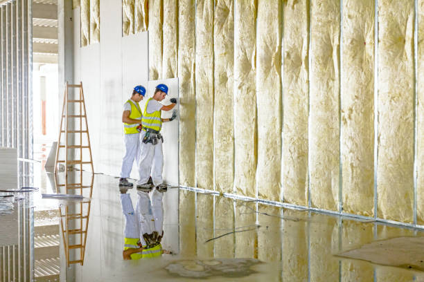 Best Insulation for Specific Applications in Paradise Hills, NM